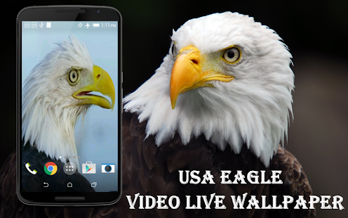 How to download USA Eagle Live Wallpaper 3.0 apk for bluestacks