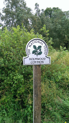 Holmwood Common