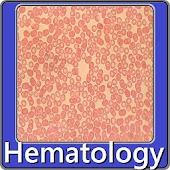 Hematology exam questions