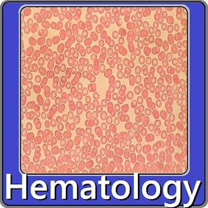 Hematology exam questions 4.0