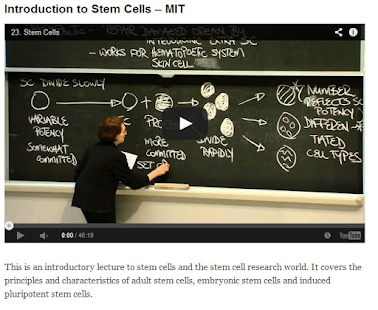 The Stem Cells Blog Screenshots 2
