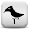 Bird Songs Download on Windows