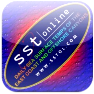 SST Online 1.0.0 Icon