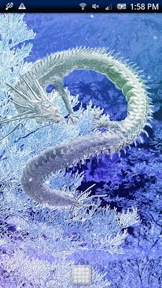 白龍神 Androidアプリ Applion