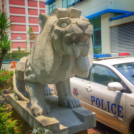 Lion Brother@ Bukit Batok CC