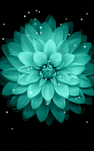 Galaxy Flowers Live Wallpaper - Apps on Google Play