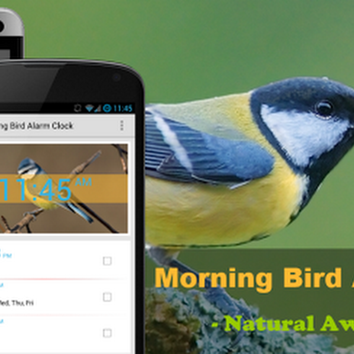 Morning Bird Alarm Clock – V2 v2.0