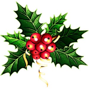 Instant Mistletoe - Kiss Me.apk 1.0