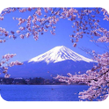 Travel in Japan: Landscape logo
