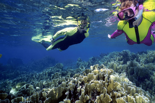 Snorkeling in the reefs near Bonaire  in the southern Caribbean.
