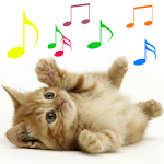 Cover Image of Download Meowing Cat Sounds 44.0 APK