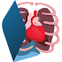 Human Body Anatomy 3D - Free2.2