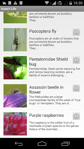 免費下載教育APP|Жизнь насекомых app開箱文|APP開箱王