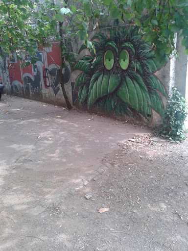 Planta Viva Grafite