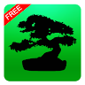 Bonsai Collection Application icon