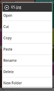 How to download Grid Size Free File Manager 1.2 unlimited apk for bluestacks