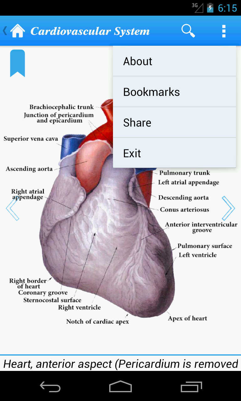 Human Anatomy II Screen 3