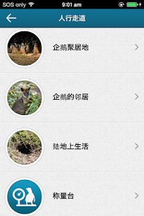 企鹅大游行，菲利普岛(圖3)-速報App