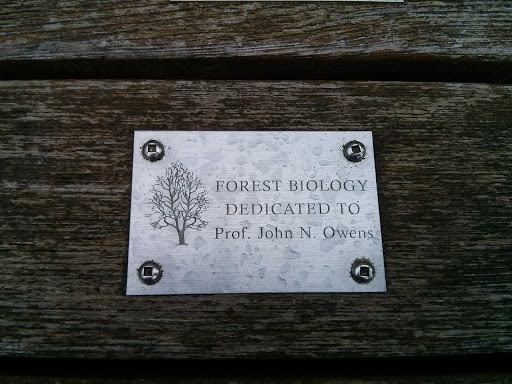 Forest Biology