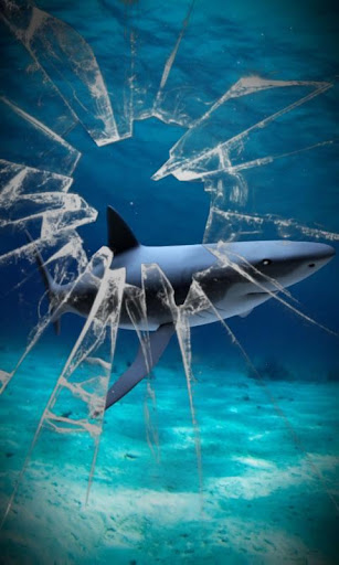 Shark attack lwp Free