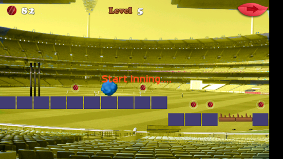 Cricket Cup 2015 Final Run Screenshots 5