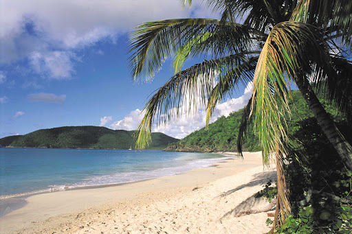 sand-palm-beach-USVI - White sand, palm trees and gentle breezes welcome you to the US Virgin Islands.