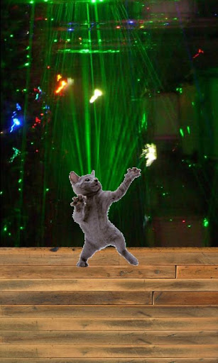 Dancing cat 1.3.4 screenshots 2