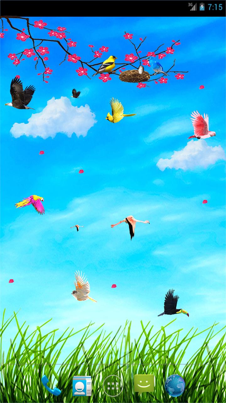 Sky Birds Live Wallpaper Screen 3
