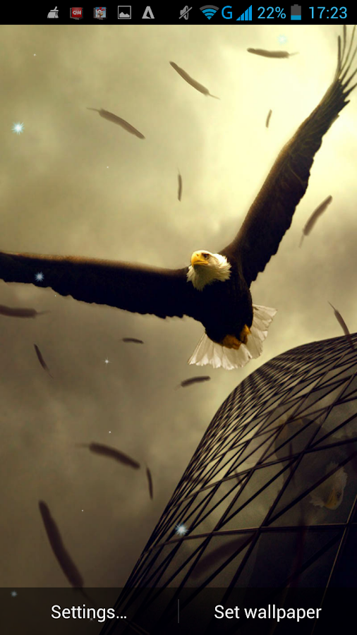 Kartal Canlı Duvar Kağıdı Google Play�de Android Uygulamaları