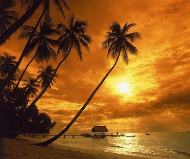 Free Download Seascape Tangram Games APK for Android