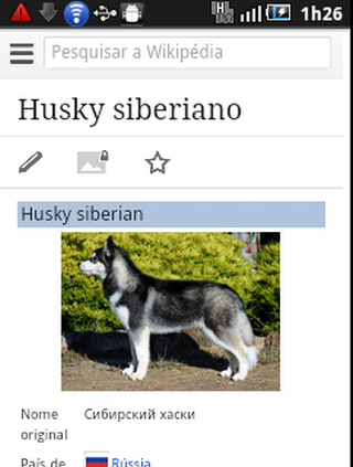 【免費娛樂App】Cachorros Husky Siberiano-APP點子