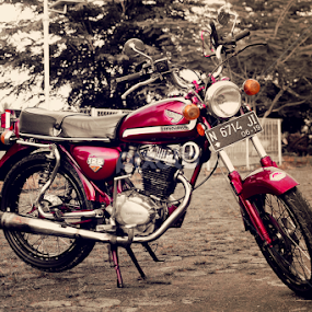 Honda GL 125 by Zoelman Rf - Artistic Objects Antiques