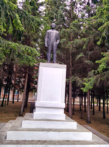 Lenin. Nizhnyaya Omka