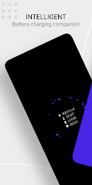 True Amps: Battery Companion 2