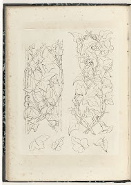 Twee motieven met klimplanten en losse bladeren