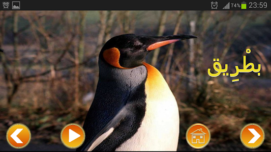 Lastest عالم الحيوانات APK for PC