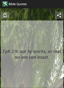 How to download Bible Quotes 1.1 apk for laptop