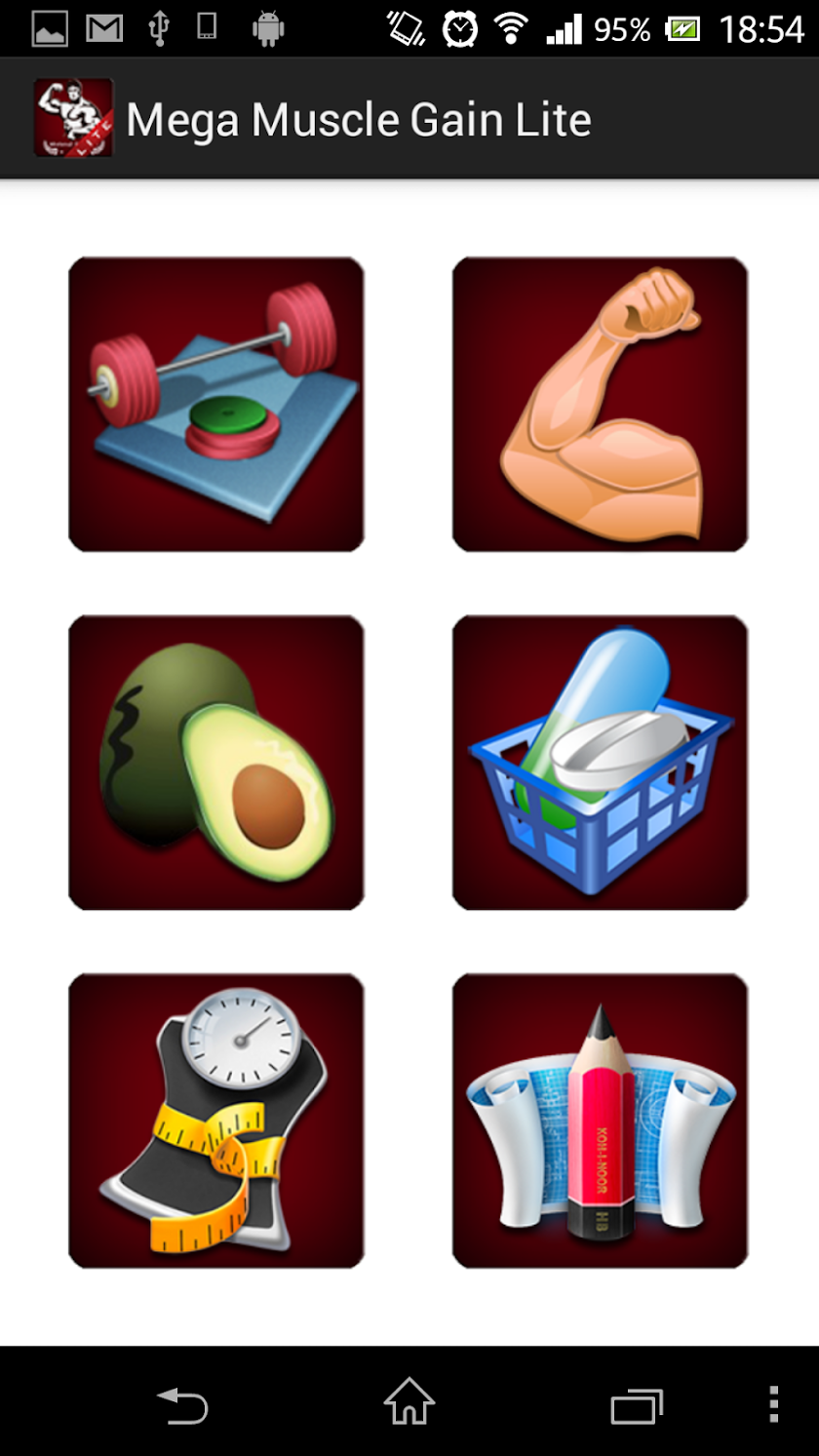 Mega Muscle Gain Workout Pro Screen 1