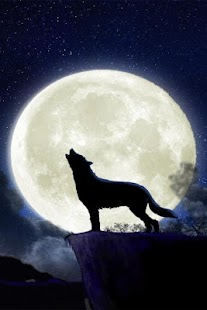 Wolf HD Wallpapers FREE Screenshots 3
