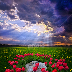 For You Are With Me by Phil Koch - Landscapes Prairies, Meadows & Fields