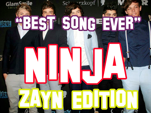 Best Song Ever Ninja — Zayn