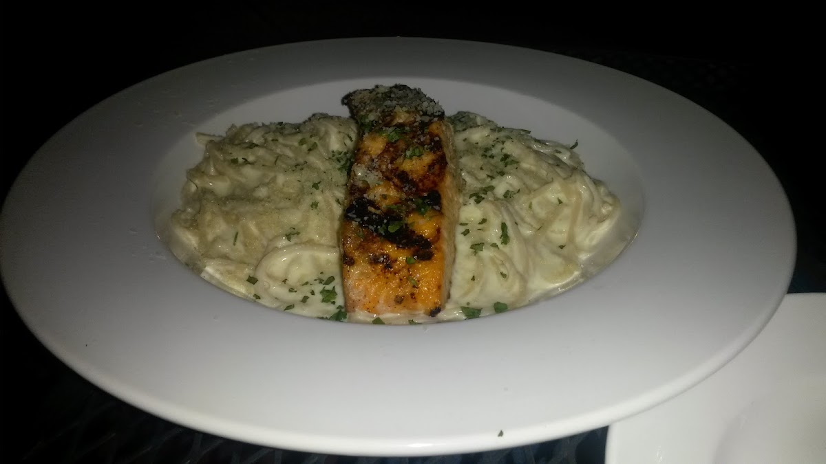 grilled salmon over a GF rice pasta in a parmesan cream sauce