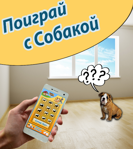 【免費娛樂App】Поиграй с собакой-APP點子