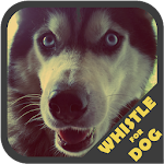 Dog Whistle Trainer Apk