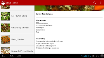 Salata Tarifleri APK Screenshot #13