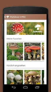 iKnow Mushrooms 2 LITE(圖2)-速報App