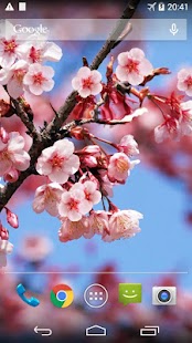 How to mod Sakura Live Wallpaper patch 1.0.9 apk for bluestacks