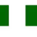 Nigerian Constitution logo