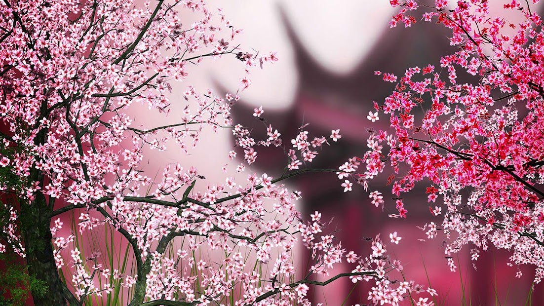 Sakura Live Wallpaper - Apps on Google Play