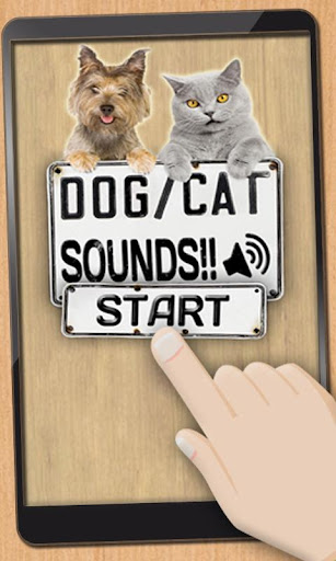 Sounds of dogs and cats